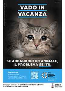 Comune di Lissone | manifesto campagna ENPA contro abbandono 2023  - gatto