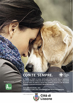 Comune di Lissone | manifesto campagna ENPA contro abbandono 2022  - cane