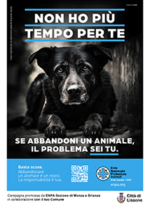 Comune di Lissone | manifesto campagna ENPA contro abbandono 2023  - cane