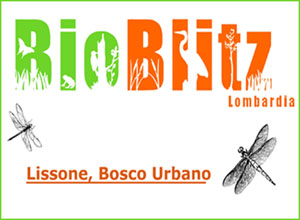 BioBlitz - Lombardia| Lissone, Bosco Urbano