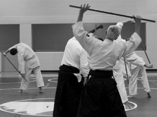 Immagine Stage nazionale di Aikido