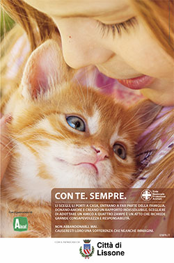 Comune di Lissone | manifesto campagna ENPA contro abbandono 2022  - gatto