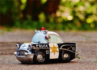 Macchinina della polizia in un parco