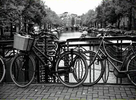 Concorso Fotografico "In bici la città è più bella"