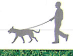 profilo uomo con cane al guinzaglio