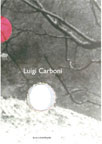 Immagine copertina catalogo Luigi Carboni - Chi può aver camminato sull'erba?