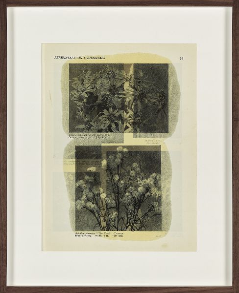 A.Spranzi, Foliage pagina 39, 2019, olio su pagina di libro, cm.24,8x18,5 (ph.C.Favero)