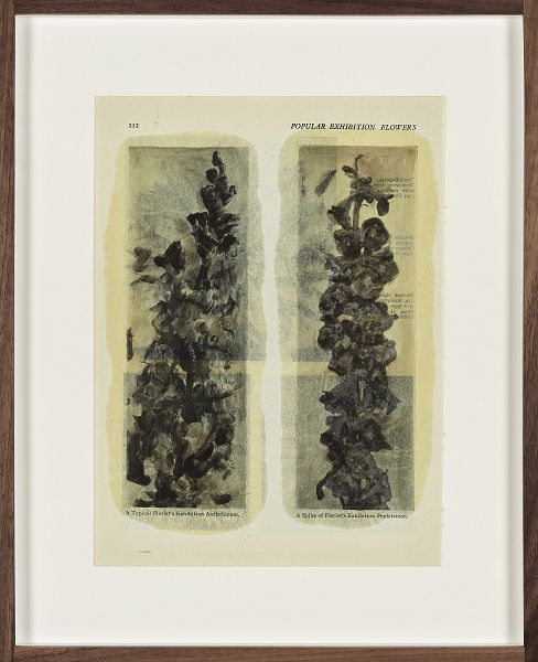 A.Spranzi, Foliage pagina 212, 2019, olio su pagina di libro, cm.24,8x18,5 (ph.C.Favero)