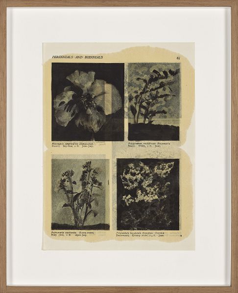 A.Spranzi, Foliage pagina 65, 2019, olio su pagina di libro, cm.24,8x18,5 (ph.C.Favero)