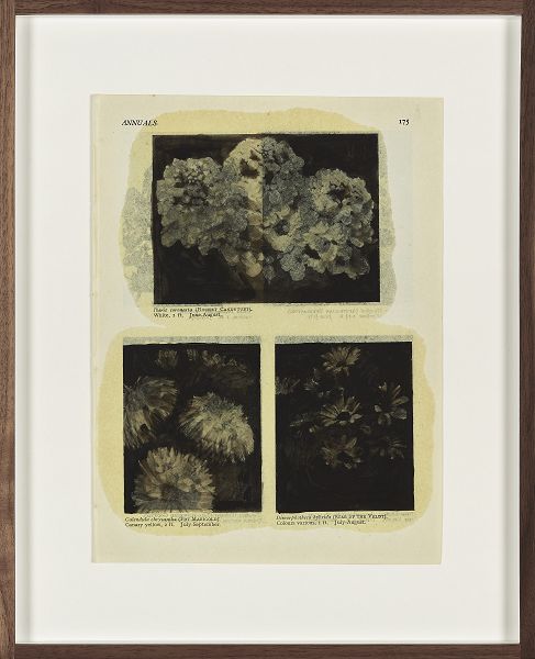 A.Spranzi, Foliage pagina 175, 2019, olio su pagina di libro, cm.24,8x18,5 (ph.C.Favero)